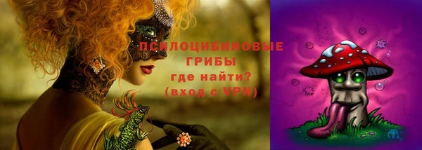 гашиш Няндома