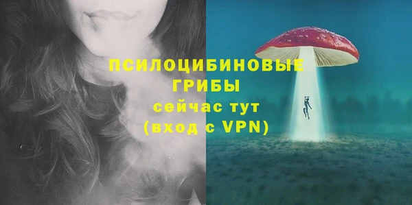 альфа пвп Нязепетровск