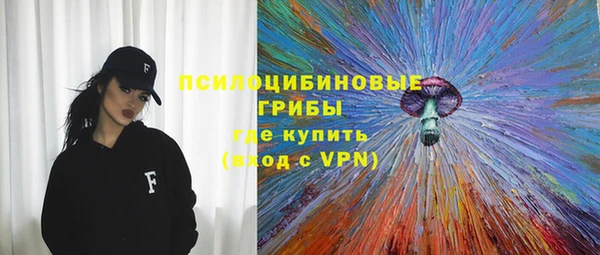 гашик Новодвинск